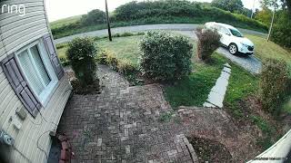 Famous Ghost' caught on doorbell camera as it walks away from cemetery Net Worth