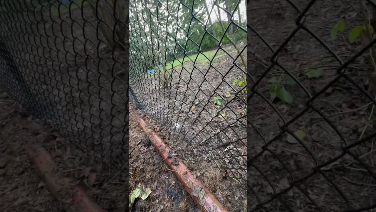 How To Stretch Chain Link Fencing on a Slope 🔗 #chainlink #fence  #fencebuilder - YouTube