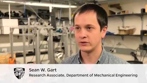 Cockroach Robot Dynamically Traverses Large Gap & Bump Obstacles