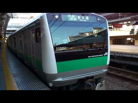 E233系7000番台宮ハエ116編成 りんかい線新木場行き 大崎駅を発車