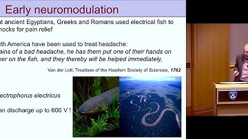 Neuromodulation in Tune with the Body