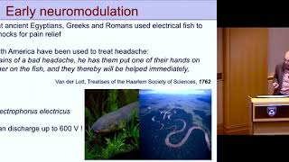 Neuromodulation in Tune with the Body's Rhythms