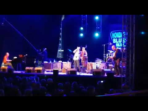 Bare ass boogie - Joan Pau Cumellas, CROSSROADS II - XIII HONDARRIBIA BLUES FESTIVAL 13-07-2018