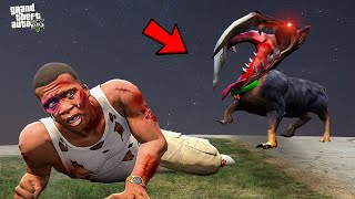 Franklin Found Evil Chop in GTA 5 !