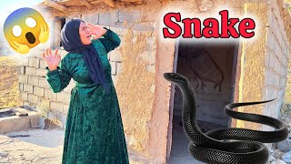 Wild snake attack on homeless woman, woman's movement shocked everyone😱