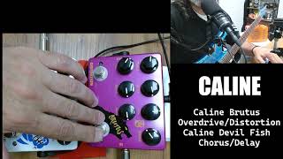 Caline Brutus Overdrive/Distortion &amp; Caline Devilfish Chorus/Delay (En español /Spanish version)