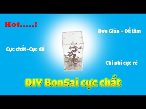 Video Hướng dẫn chế cây cảnh mini cực dễ - youtube
