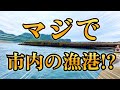 【また市内に一級漁港が!!小江漁港（小江新子港）・長崎県長崎市・海中映像】長崎は凄すぎるねぇ.. #268 福岡釣部 in 福岡・糸島・北九州・長崎・平戸・佐賀・唐津・呼子・生月島・鷹島・広島・岡山