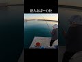 達人おばーいつ見ても凄い #Shorts