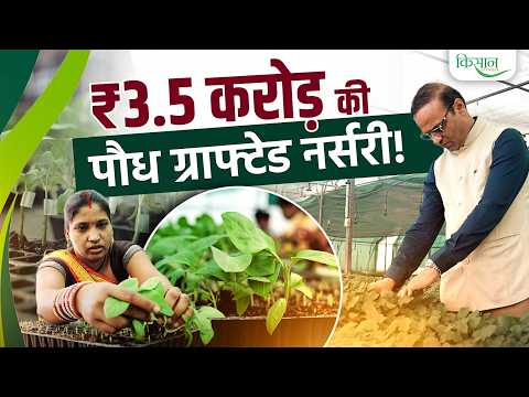 Grafted Vegetable Nursery कैसे बन रही है Business Model?