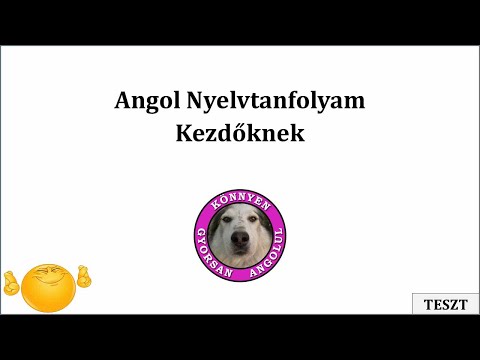 Teszt (kifejezések 1-6.)