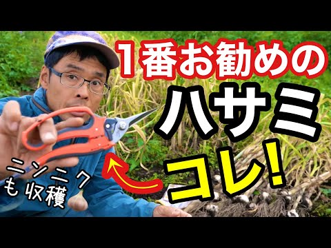 Farm tools talk] Cheap and easy to use! Introducing scissors