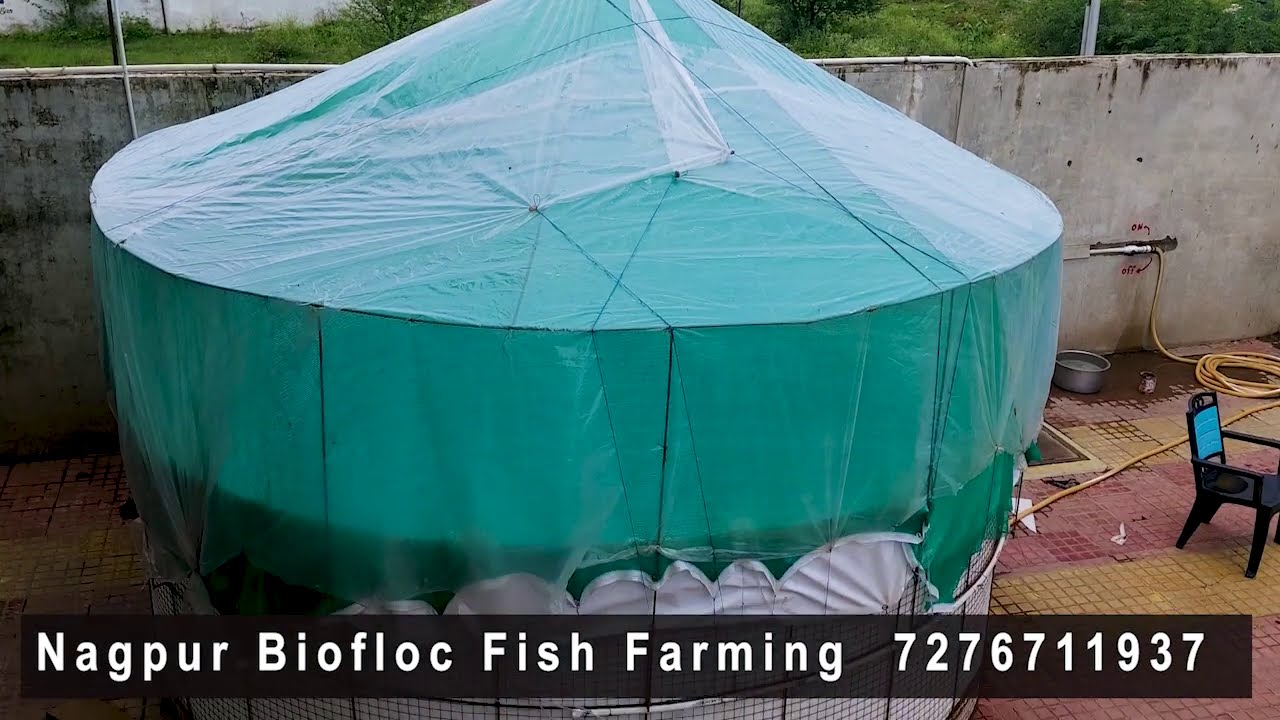 HOW TO START BIOFLOC FISH FARMING BUSINESS - YouTube
