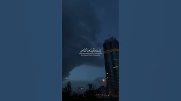 تلاوة نادرة للشيخ ياسر الدوسري ｜ سورة النساء 💙