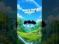 PANDA ANT #008 - WILD DEX