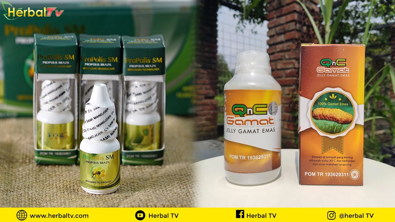 Review Produk Herbal || Qnc Jelly Gamat & Propolis SM