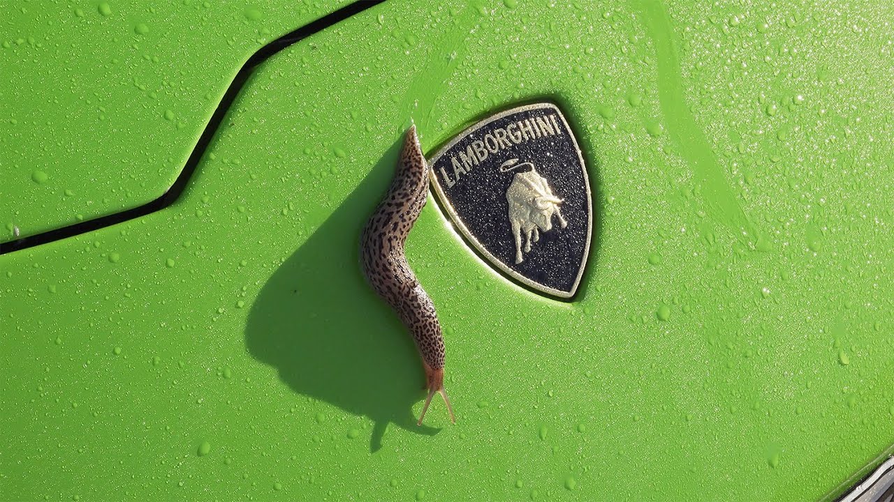 Luka08 - Zeit geht Lamborghini (prod. by Luka08)