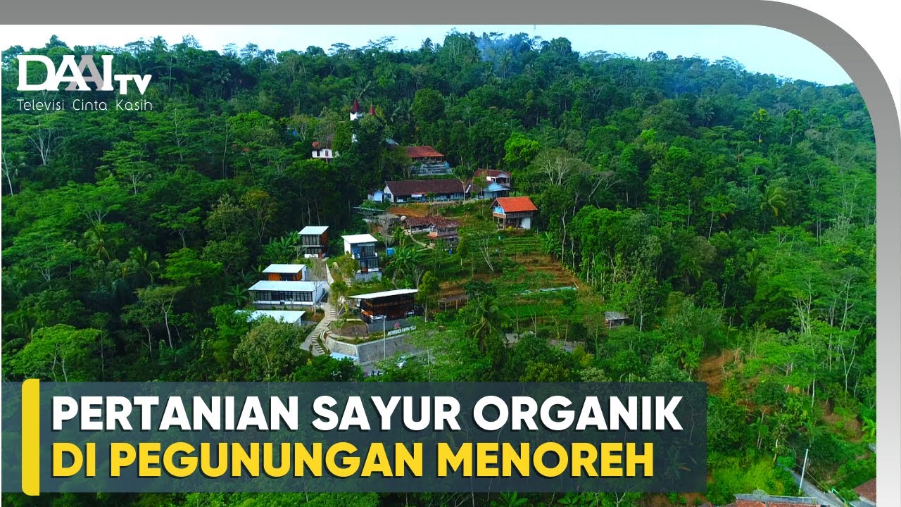 Ternyata Ada Kebun Sayur Organik di Pegunungan Menoreh - Subur Nggabur