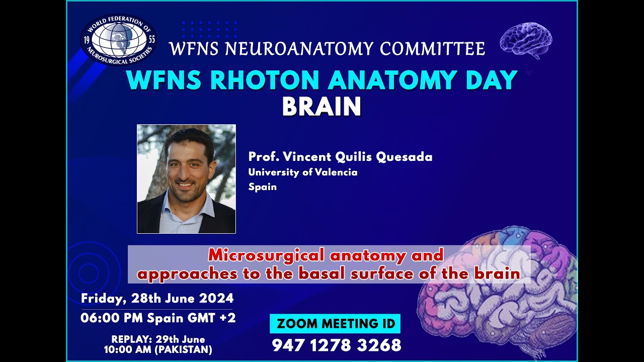 WFNS Rhoton Neuroanatomy Day “Brain” - YouTube