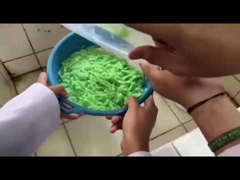Cendol Dari Rumput Laut