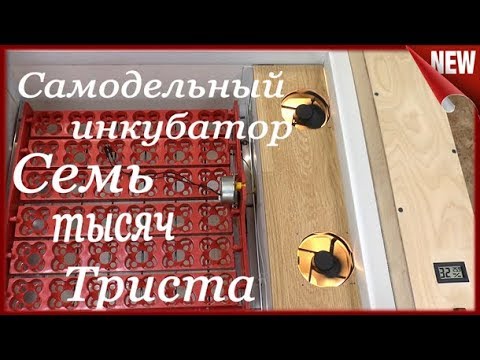 Самодельный инкубатор своими руками! Как сделать инкубатор для яиц. Влажность, Переворот и так .....