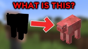 Can YOU Guess the Answers in this RIGGED Minecraft Quiz?