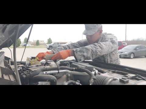 Bobtail Training