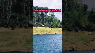 Wow Song👌| Wayanad | Shorts #shorts #trending #new #kerala #boat #boating #haijawanitohishqhonahai