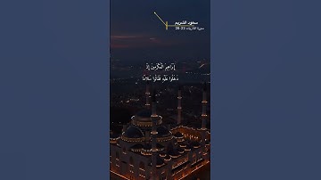 سورة الذاريات الاية 22-28