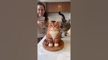 She Cuts a Cat Cake — and the Real Cat Freaks Out! | ‘Calma, é só bolo!