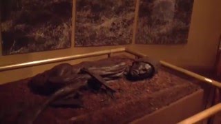 Tollundmanden Body Peat Bog Featured In The Doomsday Key By Action Thriller Author James Rollins