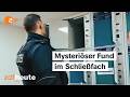 Einsatz mit Nervenkitzel am Bahnhof und Unfall mit einem Großhirschen | Blaulicht Rostock (4/4)