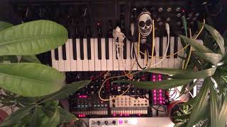 Jam 0046 • Korg • MS-20 • SQ-1 • Volca Keys • Volca FM • Behringer • Model D • Arturia • Keystep