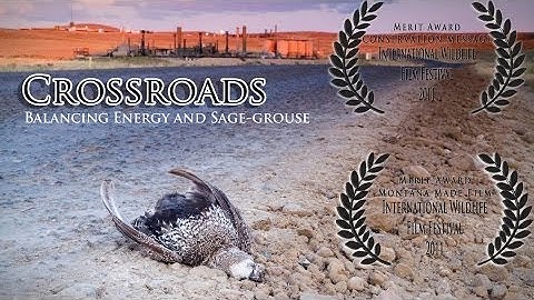 Crossroads - featuring David Allen Sibley