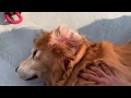 みなさま残暑見舞い申し上げます