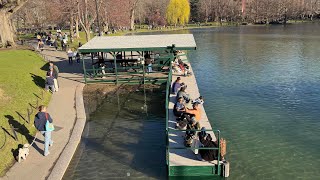 Discover Boston Common Park 2026 | 4K Scenic City Walk in Boston