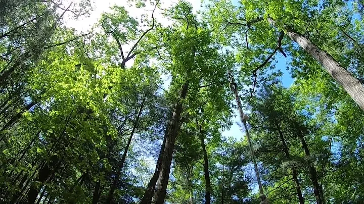 What’s Right With Schools: Students from different schools come together to grow, broaden opinions