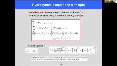 Phase Space and Hydrodynamic Methods for Polarized Quantum Plasmas by Giovanni Manfredi
