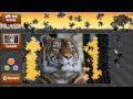 Wild Animals - Animated Jigsaws / 野生動物の動画で遊ぶジグソーパズル