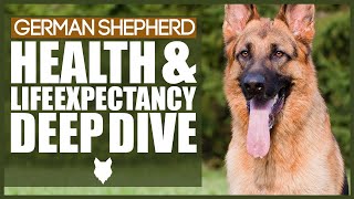GERMAN SHEPHERD HEALTH AND LIFE EXPECTANCY