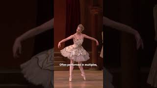 Know Your Steps - Hops en pointe