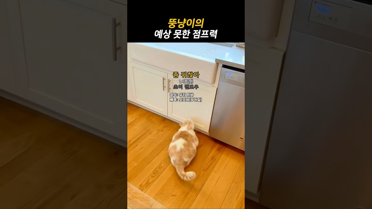 뚱냥이가 보여준 의외의 점프력
