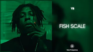 NBA Youngboy - Fish Scale (432Hz)