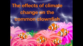 The Effects of Climate Change on The Common Clownfish