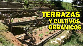 TERRACES FOR ORGANIC CROPS