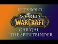 Let's Solo Mogu'Shan Vaults - Gara'jal the Spiritbinder - ViperLand