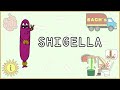 Shigella Simplified: Morphology, Pathogenesis, Types, Clinical features, Treatment