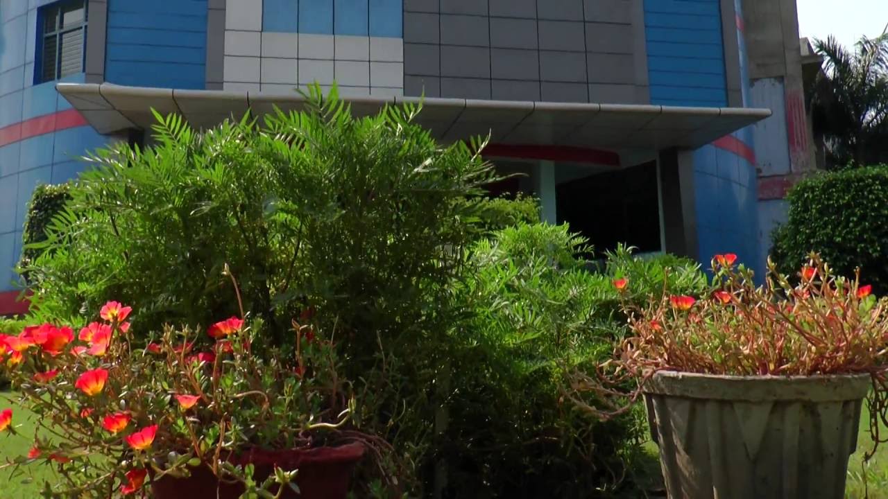 The Dolphin PG College Chandigarh Fresher s Party 2016 YouTube