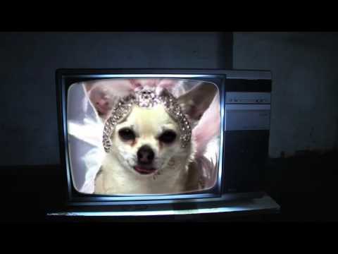 Cani Pazzi - Marracash