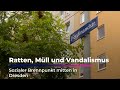 Ratten, Müll und Vandalismus - Streit um den Ferdinandplatz | Sachsen Fernehen